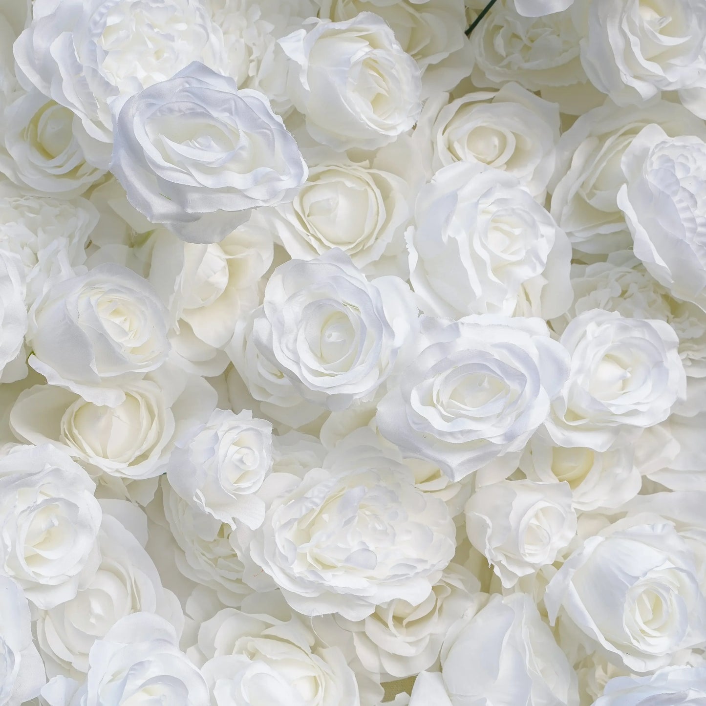 The Pearl | Luxury Flower Wall