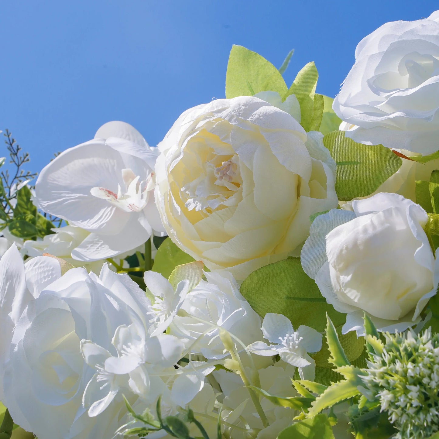 The Magnolia | Luxury Flower Wall