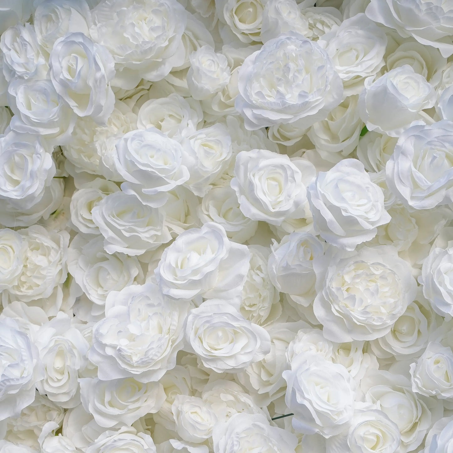 The Pearl - Luxury Flower Wall Rental